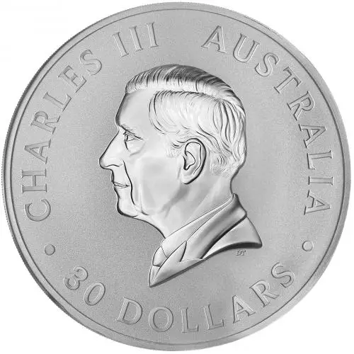 2025 Australian Koala 1kg Silver Bullion Coin obverse