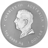 2025 Australian Year of the Snake 1 oz Silver Bullion Coin obverse chards image crop
