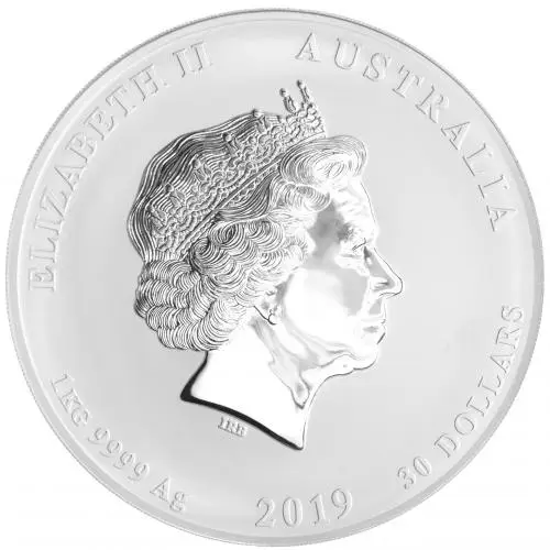 2019 Coloured Silver Bullion 1 Kilogram Lunar Year of the Pig  Coin Single Australia Perth Mint obverse