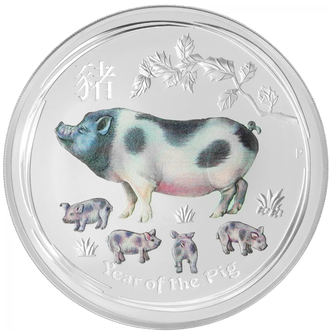 2019 Chinese Lunar Pig One Kilo Bullion Coin | Chards