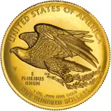 2015 American Liberty Gold Bullion 1 Ounce High Relief  obverse
