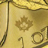 2026 Gold Maple Leaf 1 oz Bullion Coin mint mark date