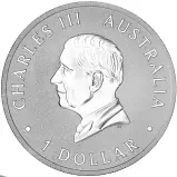 2026 Australian Koala 1 oz Silver Bullion Coin obverse chards