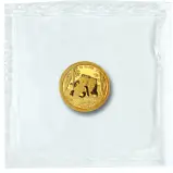 2026 Chinese 1g Panda Gold Bullion Coin reverse packaging