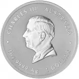 2026 Australian Year of the Horse 1 oz Silver Bullion Coin obverse