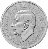 2026 Platinum Britannia 1 oz Bullion Coin obverse TRM image