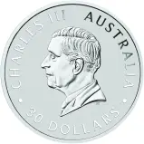 2026 Australian Koala 1kg Silver Bullion Coin obverse