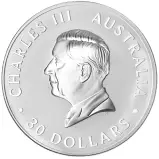 2026 Australian Silver Kookaburra 1 kg Bullion Coin obverse