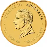 2026 Australian Year of the Horse 10 oz Gold Bullion Coin obverse tpm
