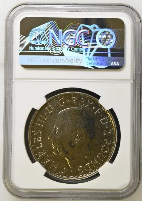 2026 Base Metal Minting Error "1 oz Silver" Britannia Coin  - NGC Graded obverse MS 69