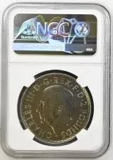 2026 Base Metal Minting Error "1 oz Silver" Britannia Coin  - NGC Graded obverse MS 66