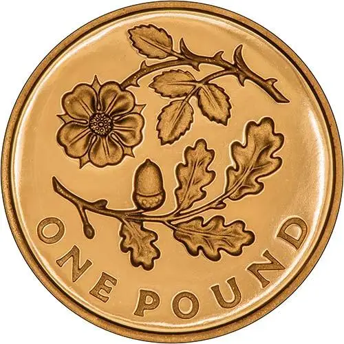 2013 UK Coin £1 Gold Proof Floral England 24485
