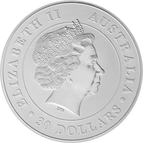 2011 Silver 1 Kilogram Koala Coin Single Australia Perth Mint obverse