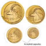 2000 Gold Proof Antelope Coin Set South Africa Natura 4 Coins reverse