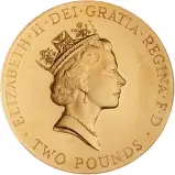 1996 Gold Proof Football £2 Royal Mint Coin obverse