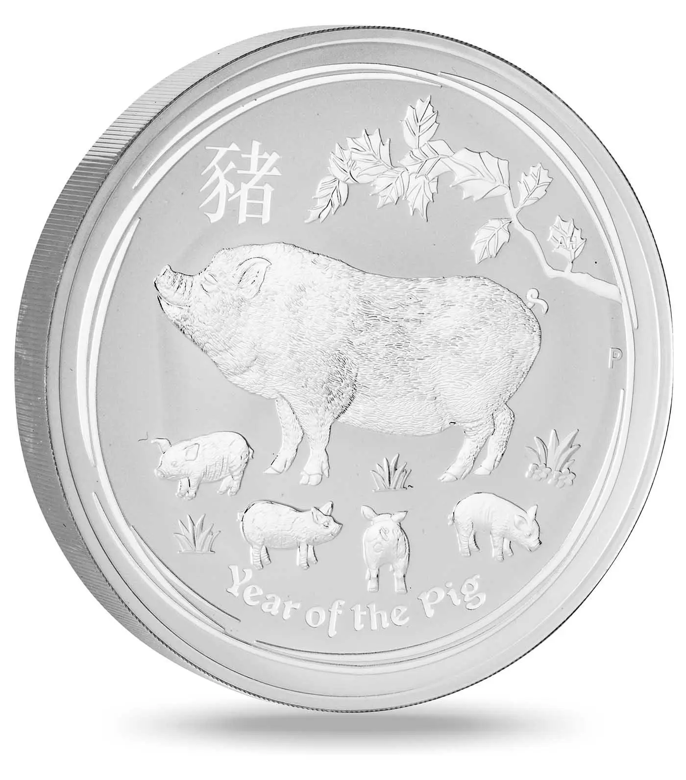 2019 Silver Year of the Pig 1 kg Bullion Coin | Chards