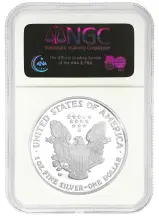 2007-W American Eagle 1 oz Silver Proof Coin - NGC Graded PF-70 Early Releases - Pre-Owned