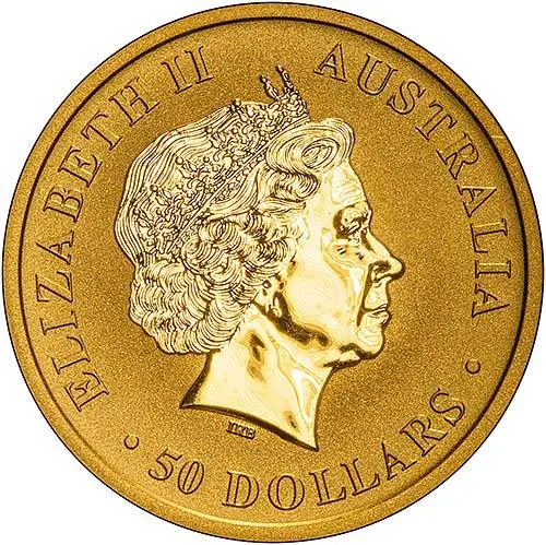 2017 0.5 oz Gold Coin Kangaroo Nugget Bullion 21371