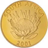 2001 Gold 1 Ounce Protea Coin South Africa Reverse