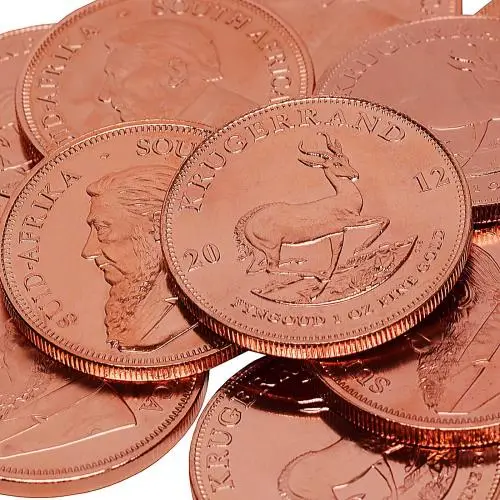 Gold 1 oz Krugerrand Bullion Coin - Minty crop close up